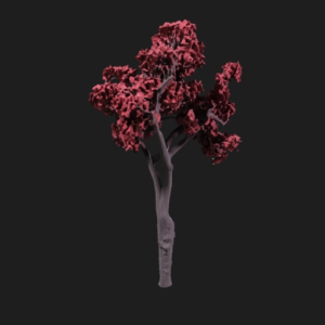 Flowering Cherry Blossom Tree