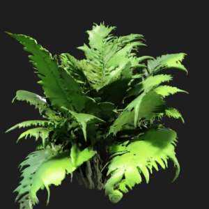 Lush Tropical Fern