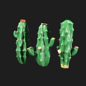 Desert Cactus Collection