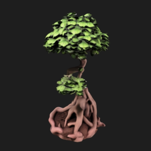 Ornamental Bonsai Tree